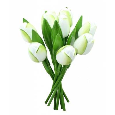 Typisch Hollands Wooden Tulips