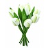 Nijhuis  Holztulpen