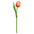 Typisch Hollands Oranje Houten Tulp