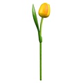 Typisch Hollands Gelbe Tulpe aus Holz