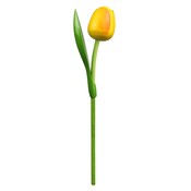 Typisch Hollands Yellow wooden tulip