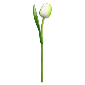 Typisch Hollands Weiße Holztulpe