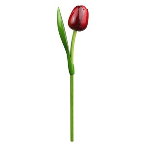 Nijhuis  Rote Holztulpe
