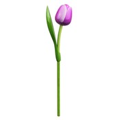 Nijhuis  Houten Tulp (los) Lila