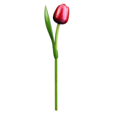 Typisch Hollands Houten Tulp Rood-Wit