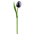 Typisch Hollands Houten Tulp Blauw-Aubergine