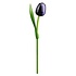 Nijhuis  Houten Tulp Blauw-Aubergine