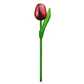 Typisch Hollands Hölzerne Tulpe auf Stiel – Rot – Aubergine