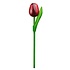 Nijhuis  Houten Tulp op steel Rood - Aubergine