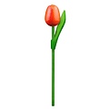 Typisch Hollands Wooden Tulip on stem Orange