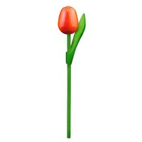 Typisch Hollands Wooden Tulip on stem Orange
