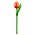 Nijhuis  Wooden Tulip on stem Orange