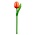 Typisch Hollands Wooden Tulip on stem Orange