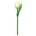 Typisch Hollands Wooden Tulip on stem - White - Small