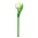 Nijhuis  Wooden Tulip on stem - White - Small