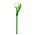 Typisch Hollands Wooden Tulip on stem - White - Small