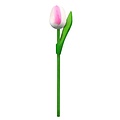 Typisch Hollands Hölzerne Tulpe auf Stiel - Weiß-Rosa