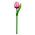 Typisch Hollands Wooden Tulip on stem Pink - small