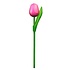 Typisch Hollands Wooden Tulip on stem - Pink small