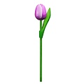 Typisch Hollands Houten Tulp op steel Violet-Wit klein