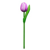 Typisch Hollands Houten Tulp op steel Violet - Wit klein