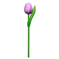 Typisch Hollands Wooden Tulip on stem Violet-White small