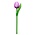 Typisch Hollands Hölzerne Tulpe am Griff Violett-Weiß