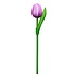 Typisch Hollands Houten Tulp op steel Violet - Wit klein