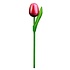 Typisch Hollands Wooden Tulip on stem - Red White small