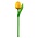 Nijhuis  Wooden Tulip on stem - Yellow/Orange