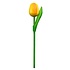 Typisch Hollands Wooden Tulip on stem Yellow-Orange