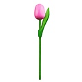 Typisch Hollands Wooden Tulip on stem - Pink