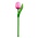 Nijhuis  Houten Tulp op steel - Roze
