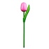Nijhuis  Houten Tulp op steel - Roze