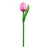 Typisch Hollands Wooden Tulip on stem - Pink