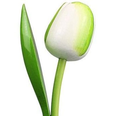 Typisch Hollands Weiße hölzerne Tulpe