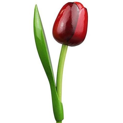 Typisch Hollands Red Wooden Tulip