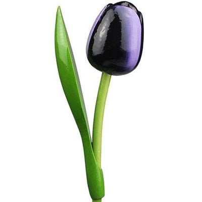 Typisch Hollands Houten Tulp Blauw-Aubergine