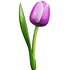Nijhuis  Houten Tulp (los) Lila
