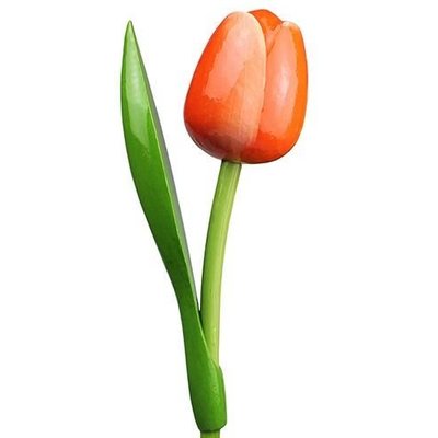 Nijhuis  Oranje Houten Tulp