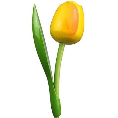 Typisch Hollands Yellow wooden tulip