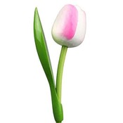 Nijhuis  Wooden Tulip White-Pink