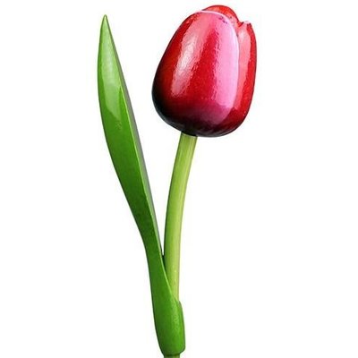 Typisch Hollands Houten Tulp Rood-Wit