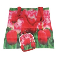 Typisch Hollands Nylon Tas - Opvouwbaar - Tulpen