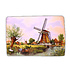 Ter Steege souvenirs Placemat traditional - Mill in color