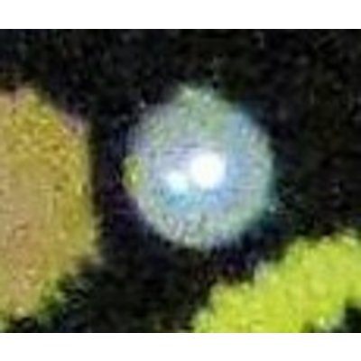 Holland sokken Vermeer`s (Mädchen mit der Perle) Damensocken - (Kunstsammlung)