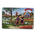 Ter Steege souvenirs Placemat traditioneel - Molen - Boerderij