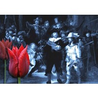 Typisch Hollands Enkele kaart - Nachtwacht