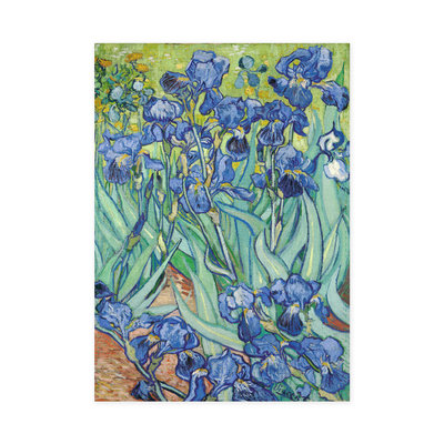 Typisch Hollands Geschirrtuch - Iris - Van Gogh