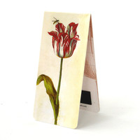 Typisch Hollands Magnetisches Lesezeichen-Jakob Marrel, rote Tulpe